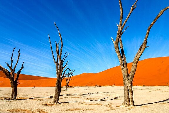 Sossusvlei (© René Schatten / Chamäleon)
